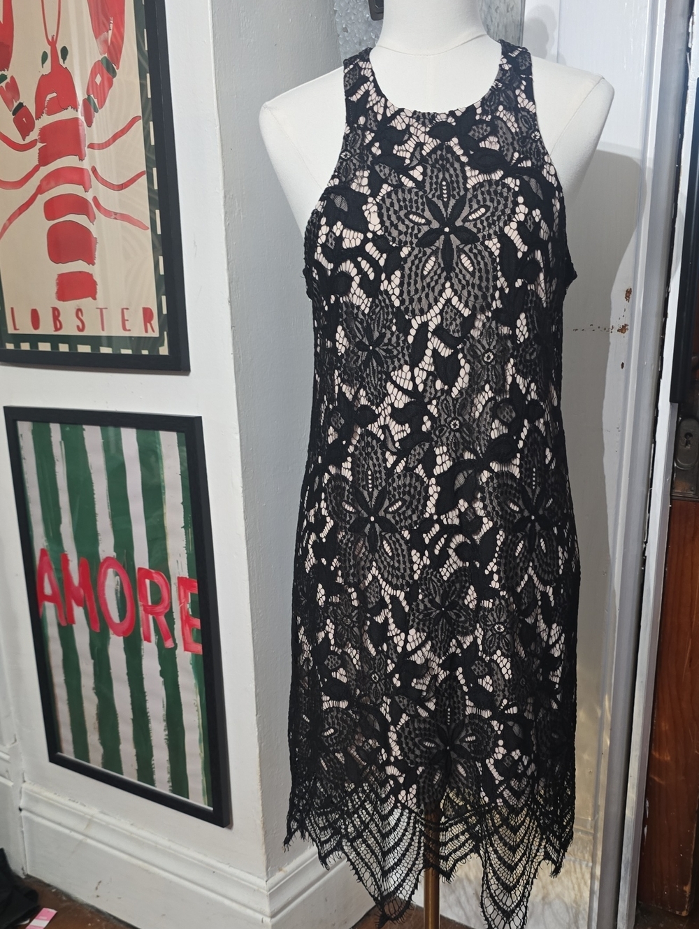 Express Black Lace Overlay Cocktail Dress with Nude Lining